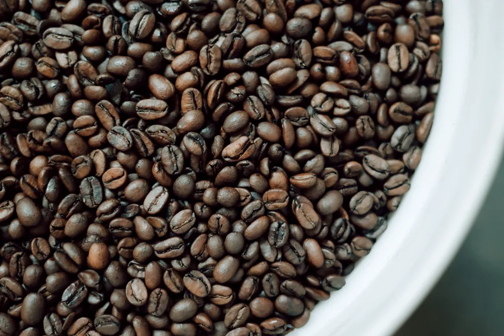 Freshly roasted beans